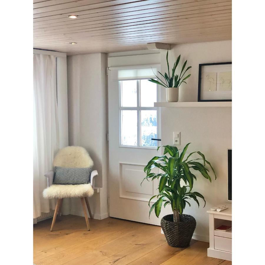 Cozy & Warm Apartment In Oberaegeri Luaran gambar