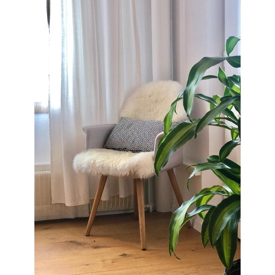 Cozy & Warm Apartment In Oberaegeri Luaran gambar