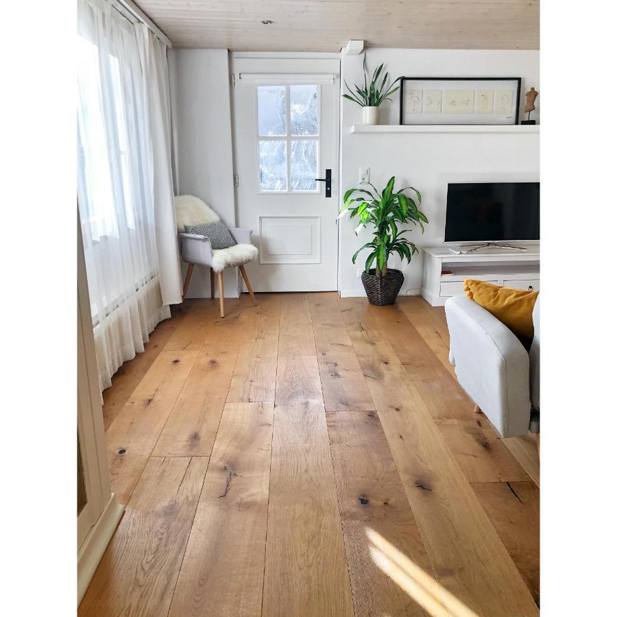 Cozy & Warm Apartment In Oberaegeri Luaran gambar